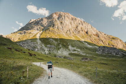 The Parc de la Vanoise launches two calls for projects!