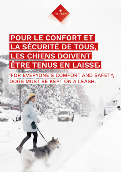 Dois-je tenir mon chien en laisse ?