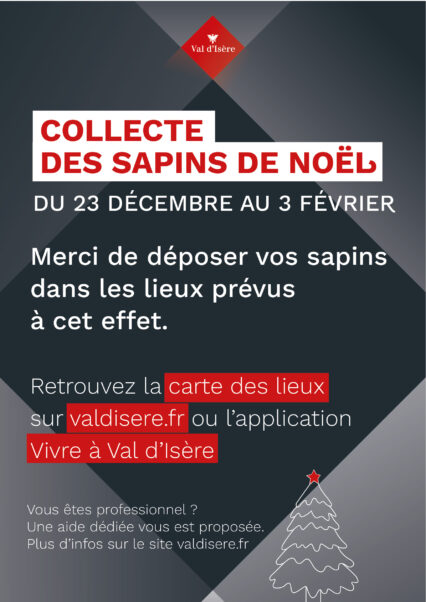 Collecte des sapins de Noël sur la commune