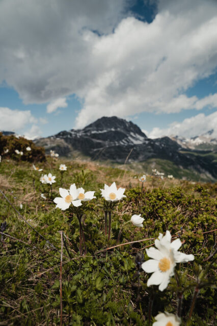 Retrouvez les commerces ouverts à l’intersaison